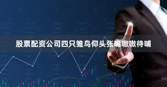 股票配资公司四只雏鸟仰头张嘴嗷嗷待哺