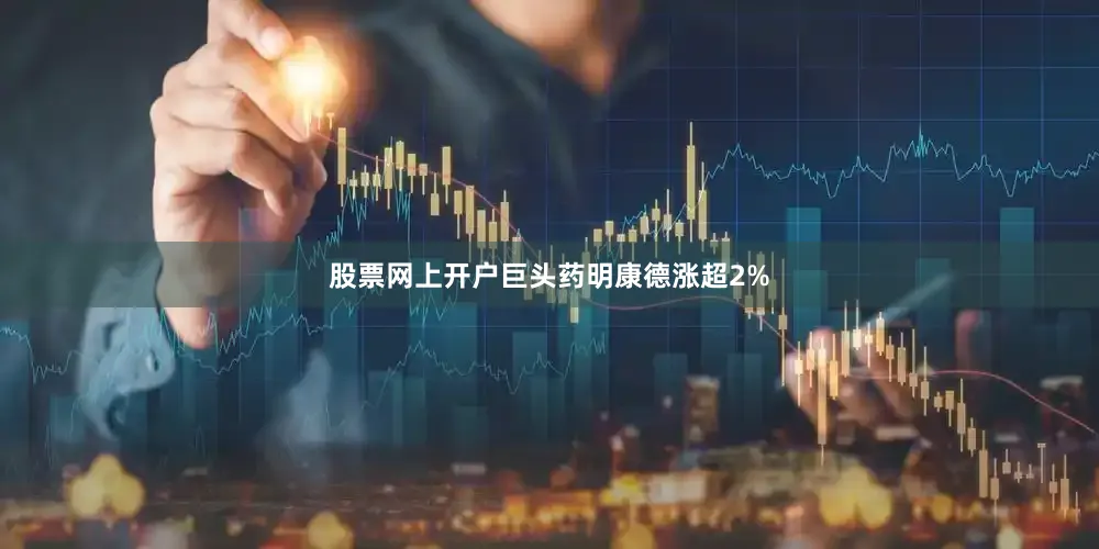 股票网上开户巨头药明康德涨超2%